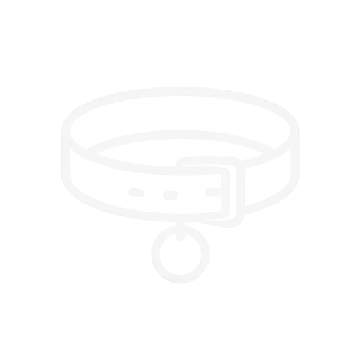 Köpek Aksesuarları